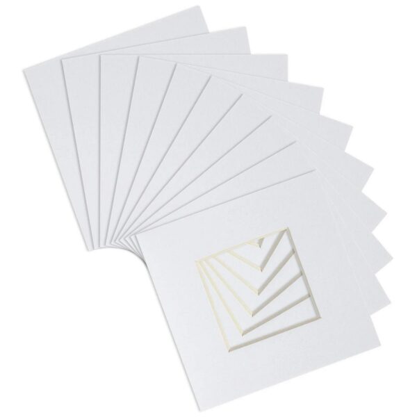 10x Picture Mounts f e8f050249e54459ce5672b758501c1ca