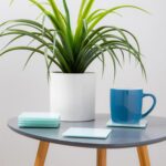 12pc White 30cm x 20cm Glass Placemats and Coasters Set Table Mats Coaster Sets - Image 7