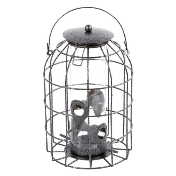 1x Grey Squirrel Pro 153b453557213cff4fd2bf0f1bcb9fb6
