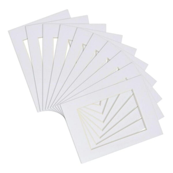 20x Picture Mounts f 479690ed0bc2b2276b1d7f677bc96c6c