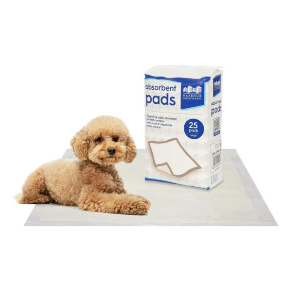 25x Large Disposable 57618fde4b15c2c90f498c172cce848c