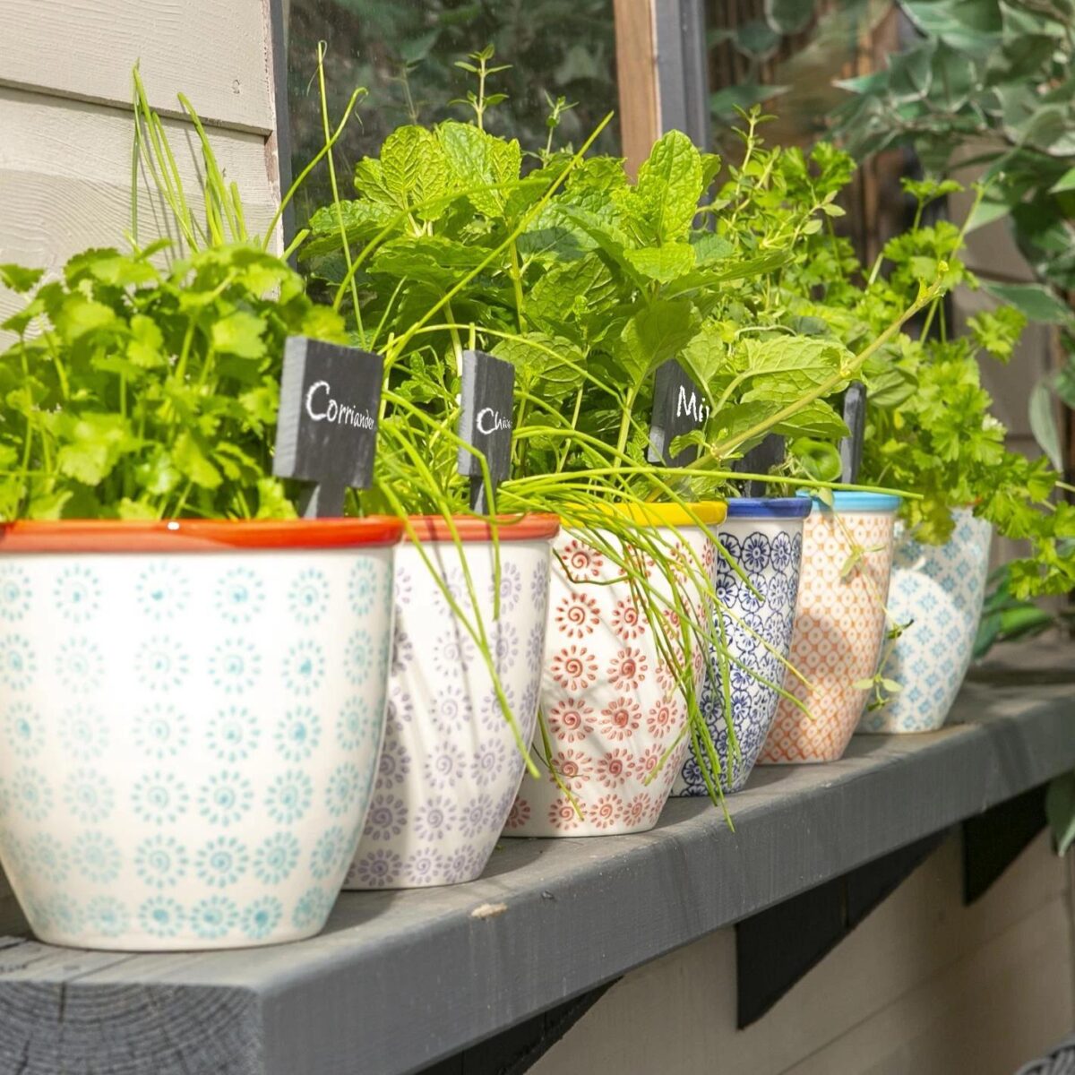 2x Hand-Printed Plant Pots Porcelain Garden Flower Planter 14cm Turquoise - Image 7