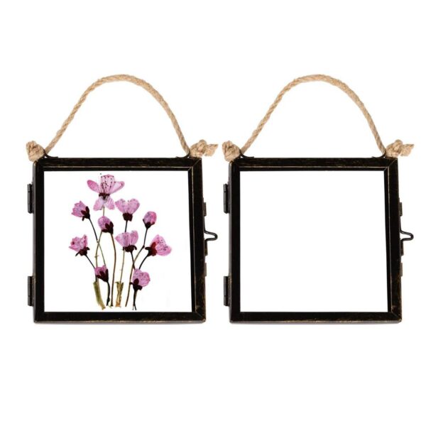 2x Hanging Metal Pho 2b5133cb9cddf2151c7e0f019fb7d466