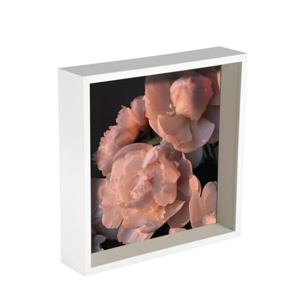 3D Deep Box Photo Fr 6e1f0601619464d87a11460cc443b278