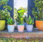 3x Hand-Printed Plant Pots with Saucers Garden Flower Planter 20.5cm Orange - Image 6