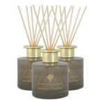 3x Reed Diffusers Home Bathroom Fragrance 200ml Green Pomelo and Passion Fruit