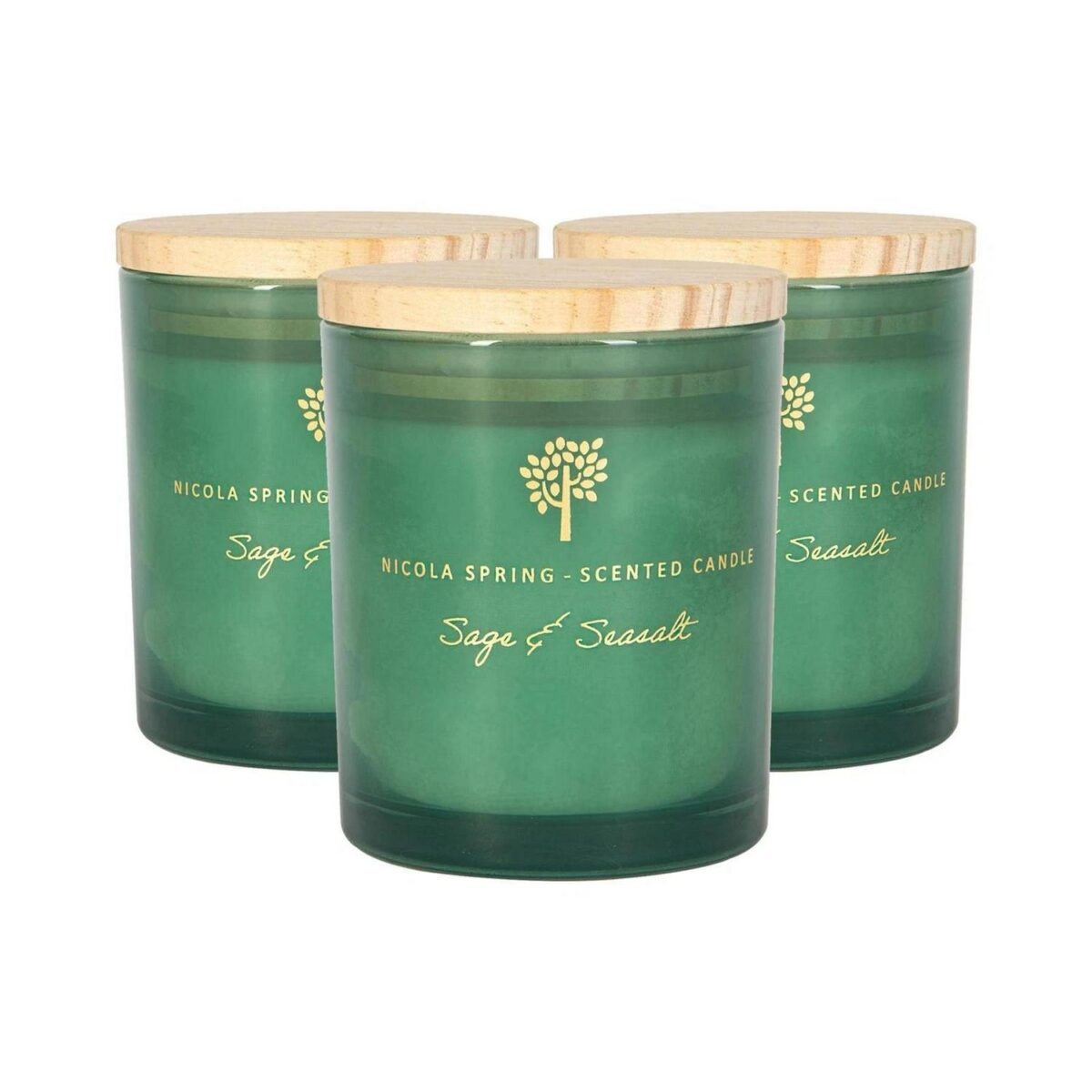 3x Soy Wax Scented Candles Aromatherapy Gift 21hr Burn 130g Sage and Seasalt - Image 1