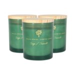 3x Soy Wax Scented Candles Aromatherapy Gift 21hr Burn 130g Sage and Seasalt