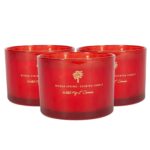 3x Soy Wax Scented Candles Aromatherapy Gift 38hr Burn 350g Wild Fig and Cassis