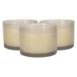3x Soy Wax Scented Candles Gift 38hr Burn 350g Green Pomelo and Passion Fruit