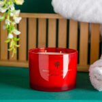 3x Soy Wax Scented Candles Aromatherapy Gift 38hr Burn 350g Wild Fig and Cassis - Image 5