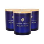 3x Soy Wax Scented Candles Aromatherapy Gift 21hr Burn 130g Patchouli and Rosewood