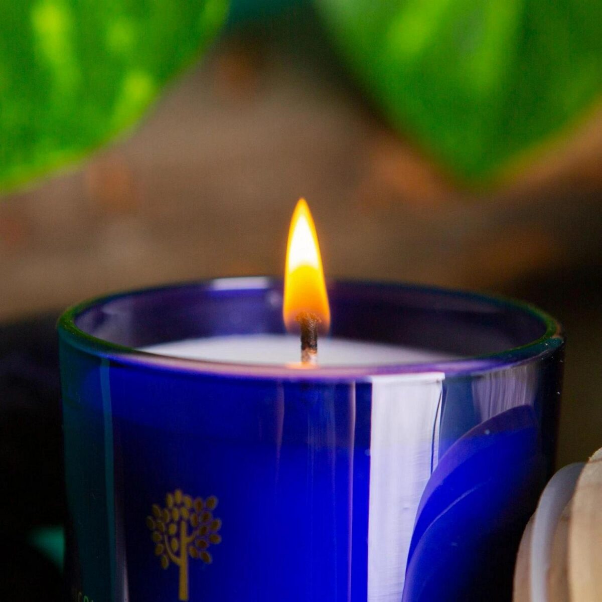 3x Soy Wax Scented Candles Aromatherapy Gift 21hr Burn 130g Patchouli and Rosewood - Image 6