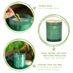 3x Soy Wax Scented Candles Aromatherapy Gift 21hr Burn 130g Sage and Seasalt - Image 2