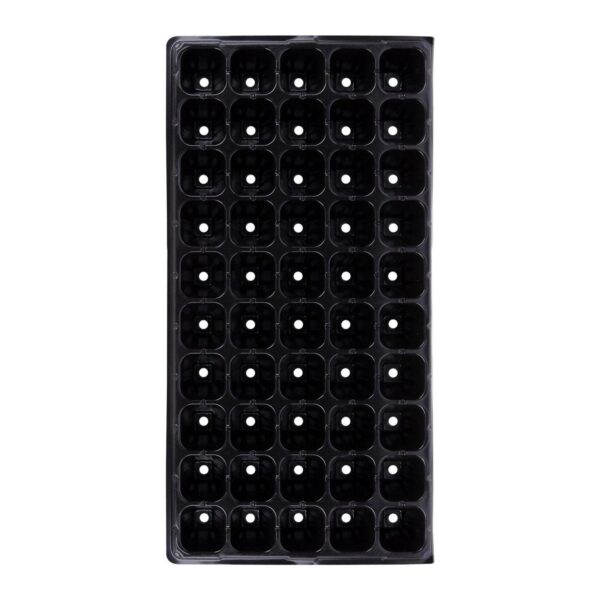 50pc x Black Seed Tr bdd9c52e06432a8f85300d18b9844791