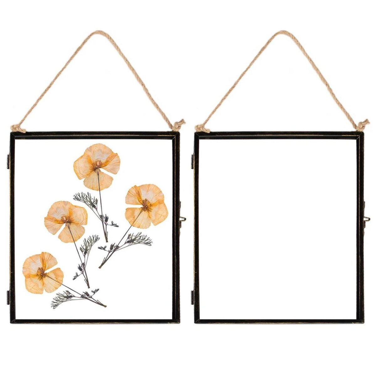5x Hanging Metal Photo Frames Vintage Floating Picture Display 8  x 10  Black - Image 1