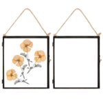 5x Hanging Metal Photo Frames Vintage Floating Picture Display 8 x 10 Black