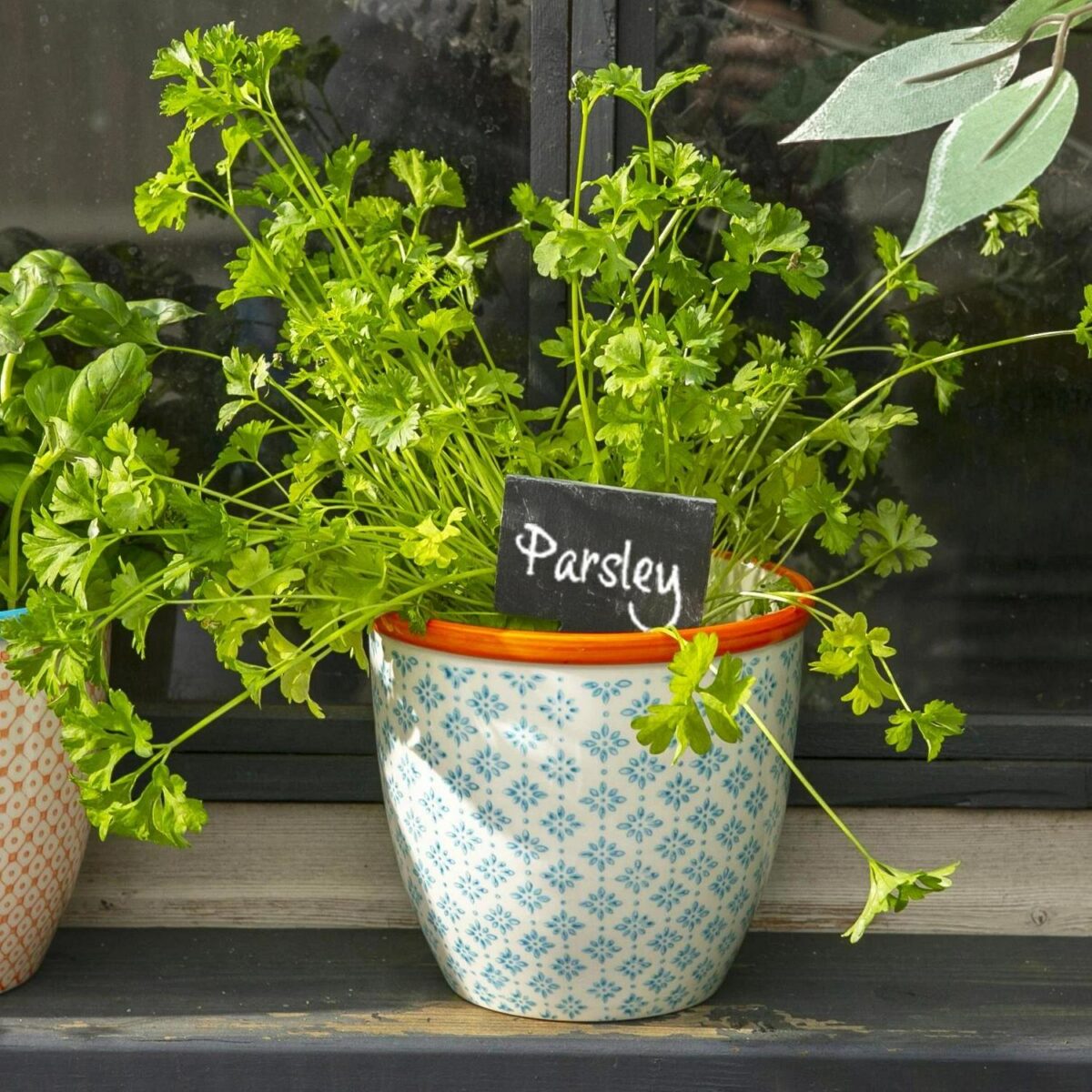 6x Hand-Printed Plant Pots Japanese Porcelain Garden Flower Planter 14cm Blue - Image 5
