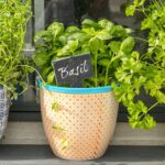 6x Hand-Printed Plant Pots Japanese Porcelain Garden Flower Planter 14cm Orange - Image 5