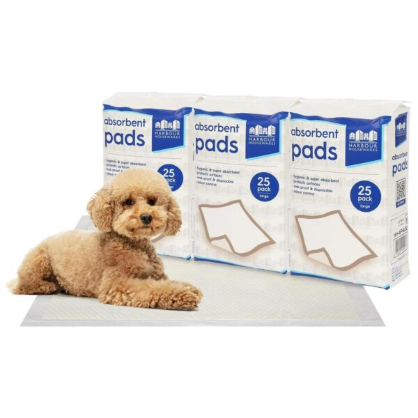 75x Large Disposable 03fb4543dd582359d536f82076848e02