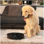 AIRROBO T10+ Robot Vacuum Cleaner - Black - Image 6