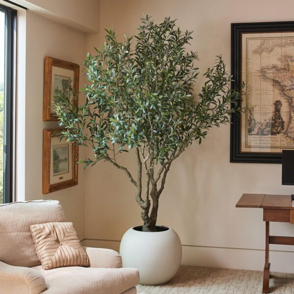 Artificial 8ft Olive 3f889bad6062906265636d26a9fafa87