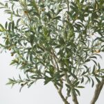 Artificial 8ft Olive Tree in Planter - Image 4