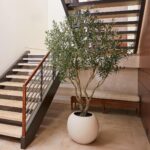 Artificial 8ft Olive Tree in Planter - Image 7