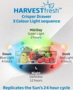 BEKO Pro HarvestFresh GNE460520DVPZ Fridge Freezer - Black Steel - Image 8