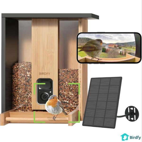 Birdfy Bamboo Bird Feeder with Camera and Solar Panel