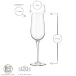 Bormioli Rocco 6x Spazio Champagne Flutes Glass Prosecco Stemware 190ml Clear - Image 3