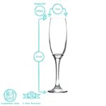 Champagne Flutes Glasses Cava Prosecco Glass 220ml (7.7oz) x24 - Image 3