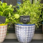 Flower Plant Pot Ceramic Porcelain Indoor Outdoor Garden - Blue Flower - x3 - Image 5