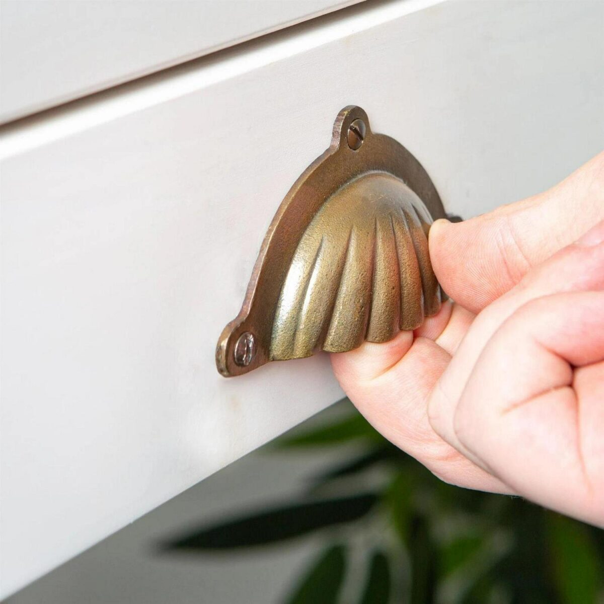 Fluted Cabinet Cup H d79504a7cb773d7a0bd26693a3b725c8