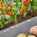 Gardena Micro-Drip Irrigation Terrace Kit (up to 30 plants) - Image 6
