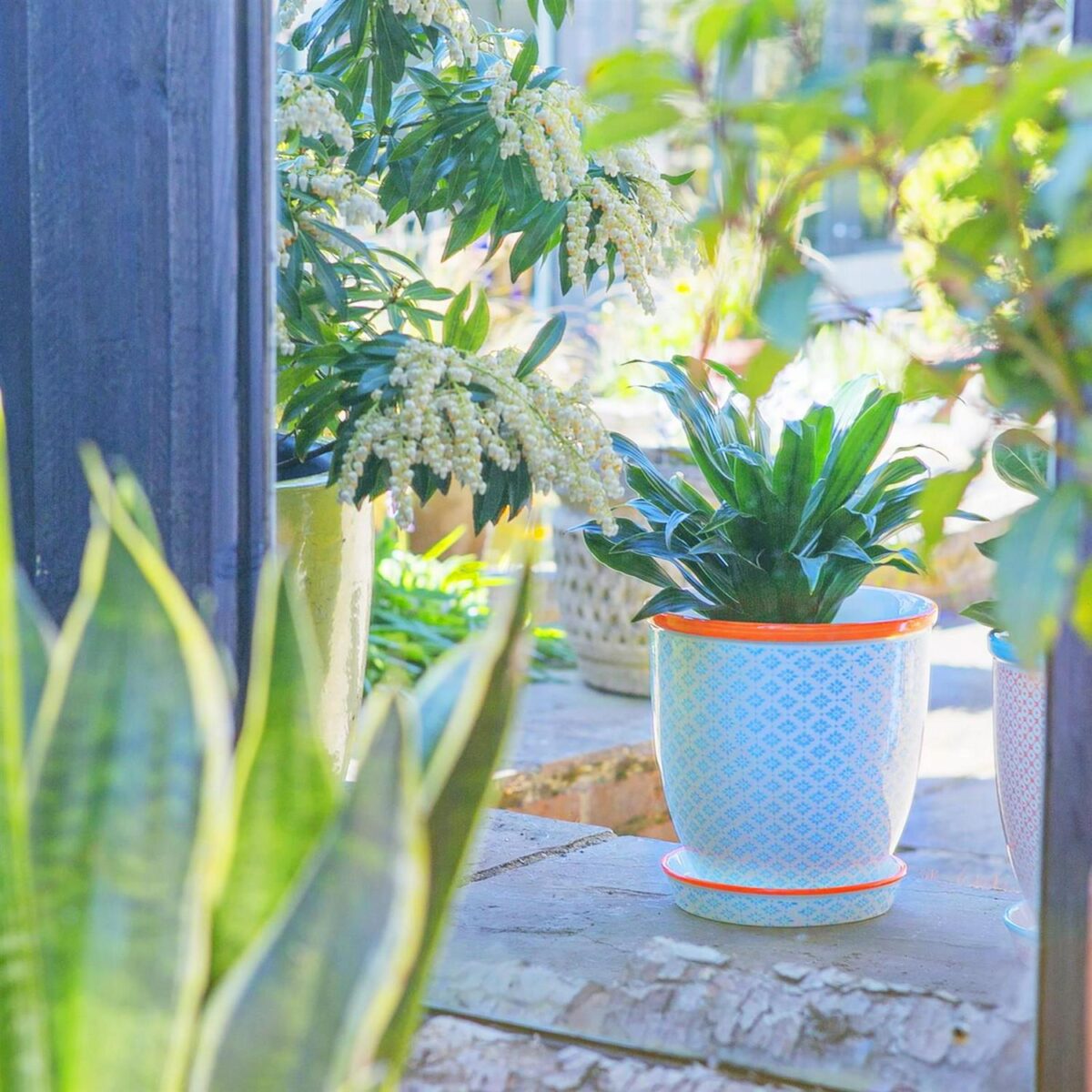 Hand Printed Plant P 0a16546b01e16179ce38f53162522b94