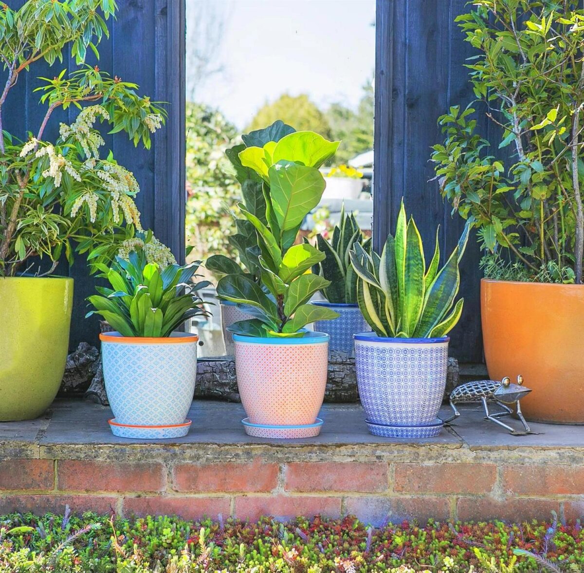 Hand-Printed Plant Pot with Saucer Garden Flower Planter 20.5cm Orange - Image 6