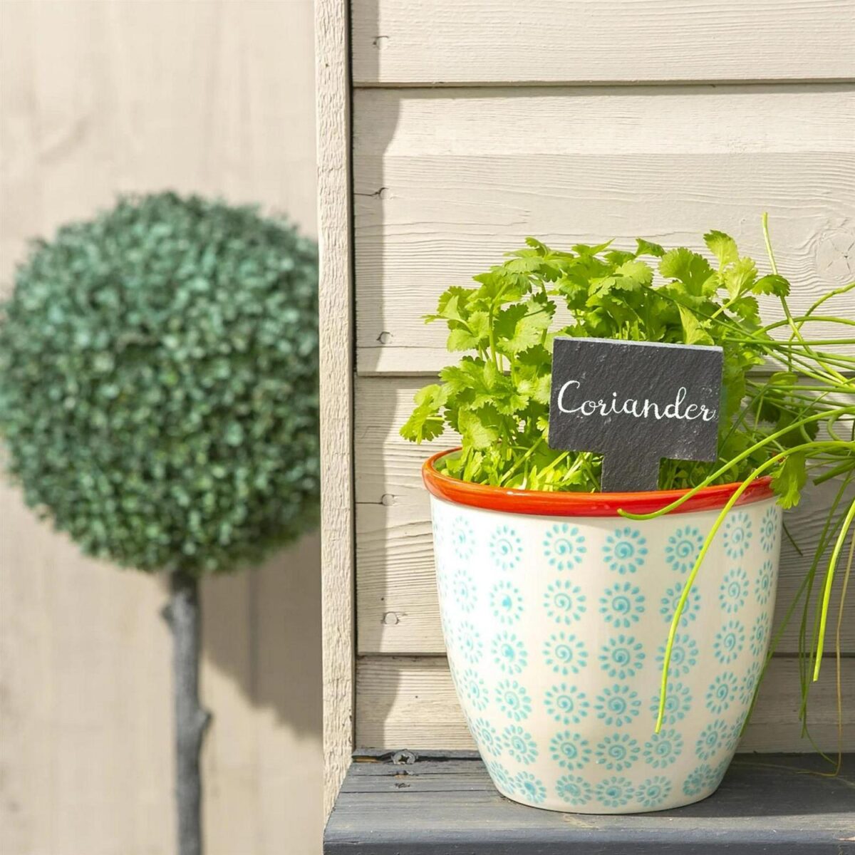Hand Printed Plant P b8d72f549dca692712b9f710b2bb9124