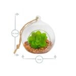 Hanging Glass Terrarium Small Home Planter Succulents Cactus Plants 10cm Clear - Image 3