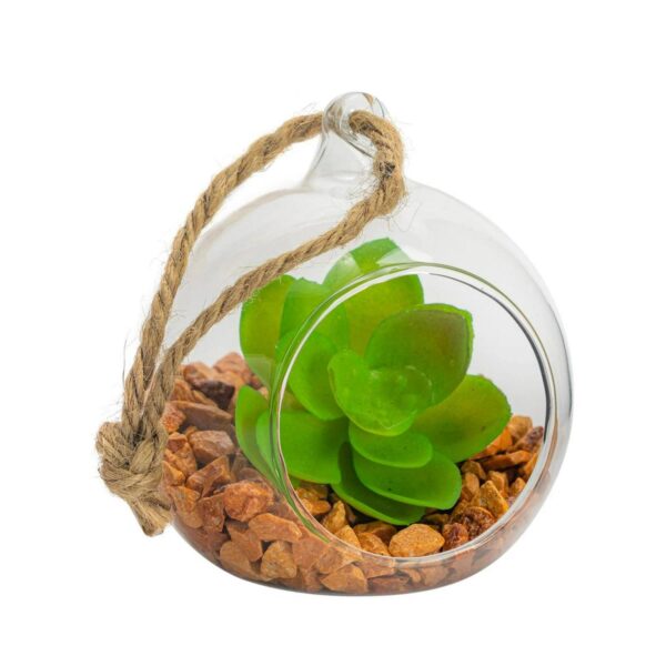 Hanging Glass Terrarium Small Home Planter Succulents Cactus Plants 8cm Clear
