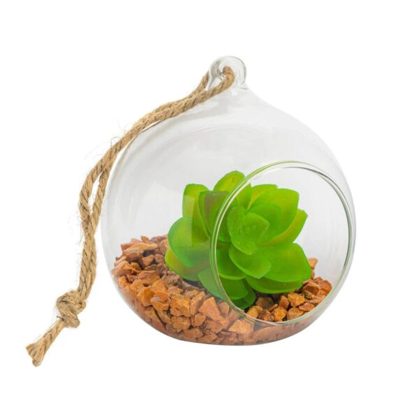 Hanging Glass Terrar c68b38a7055c0cf72044d03e29508d15