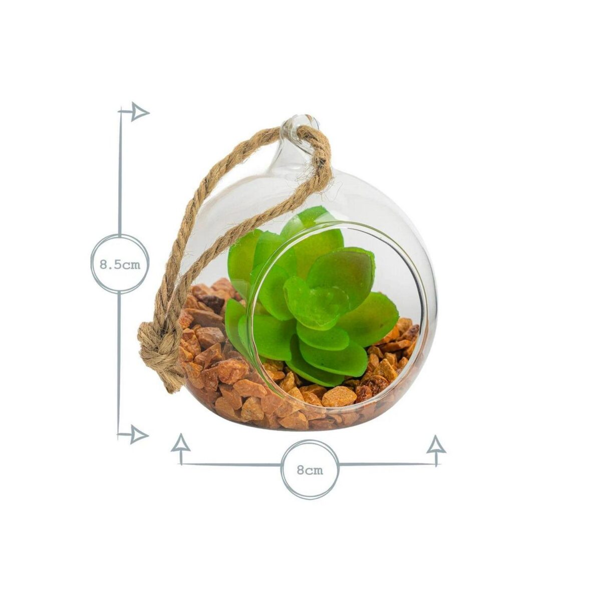 Hanging Glass Terrarium Small Home Planter Succulents Cactus Plants 8cm Clear - Image 3