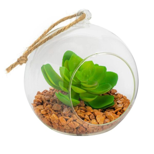 Hanging Glass Terrar e70111a326c0845db9ede5c470f6ade8