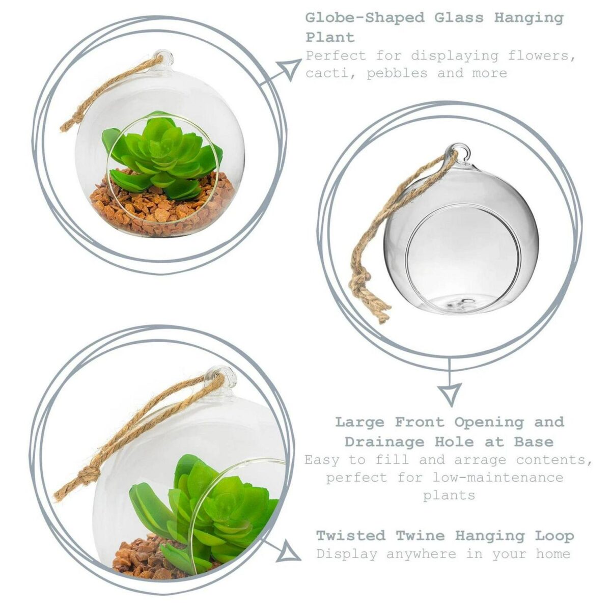 Hanging Glass Terrar e782e1b10d883d04428407f8535e64d0