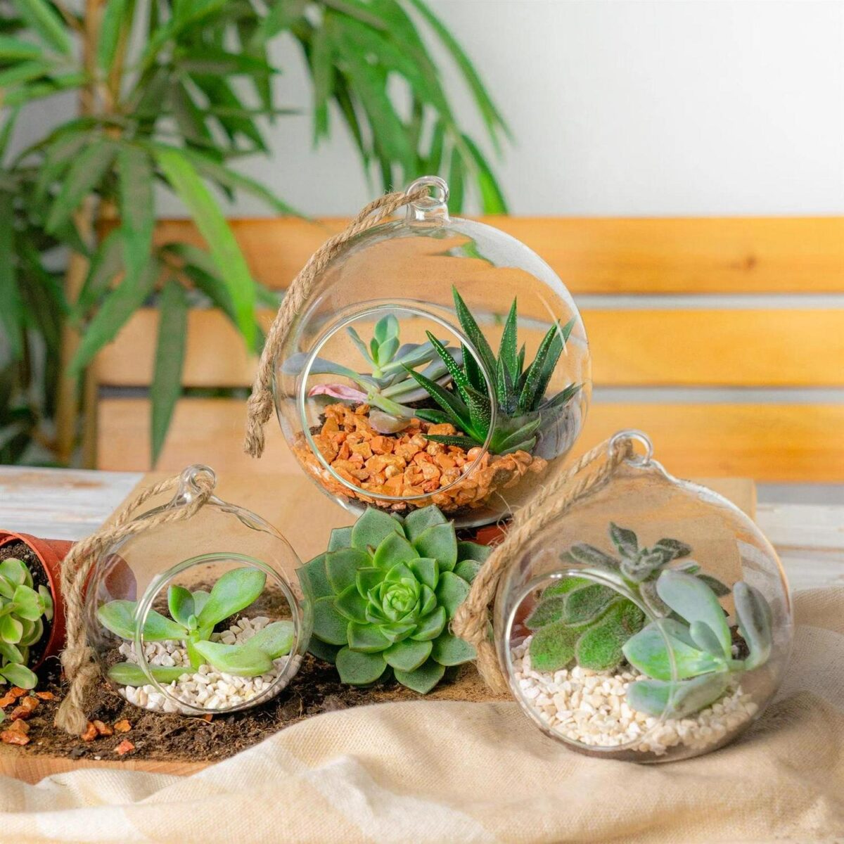 Hanging Glass Terrarium Small Home Planter Succulents Cactus Plants 10cm Clear - Image 6