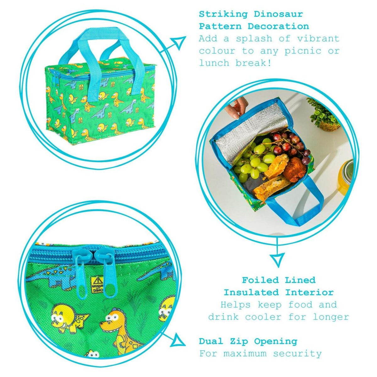 Insulated Lunch Bag 572b4cdd375e755de28c0e8319856331