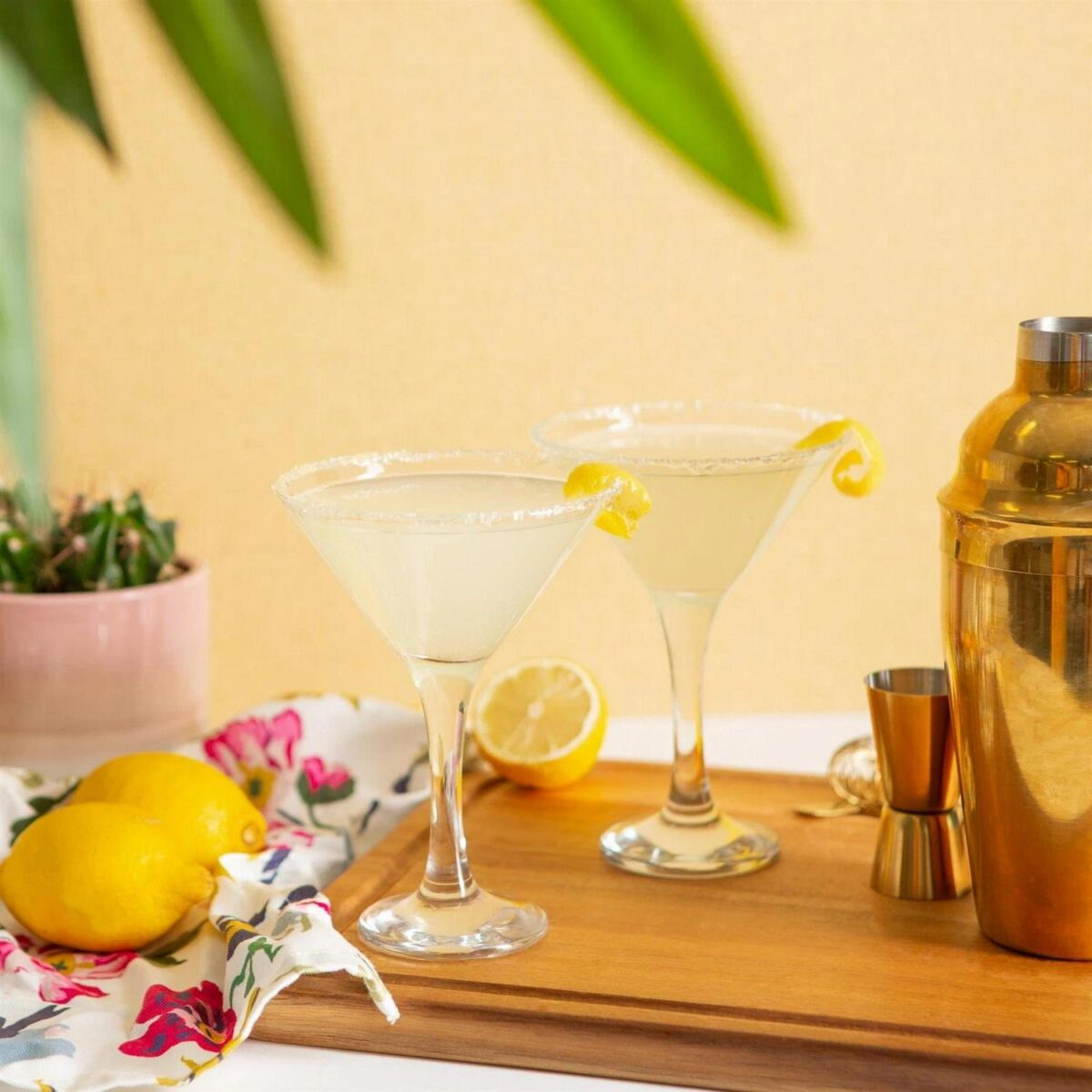 Martini Cocktail Dri 0ae0dddad732e9b6162220fc43968afd