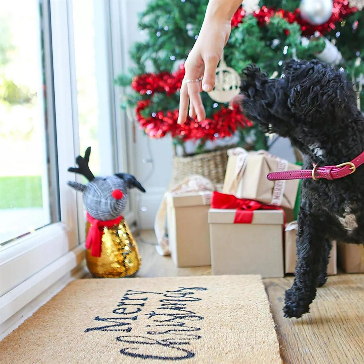 Merry Christmas Door Mat Xmas Non Slip Indoor Outdoor Mats Doormats 60cm - Image 4