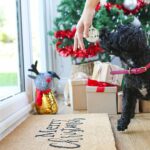 Merry Christmas Door Mat Xmas Non Slip Indoor Outdoor Mats Doormats 60cm - Image 4