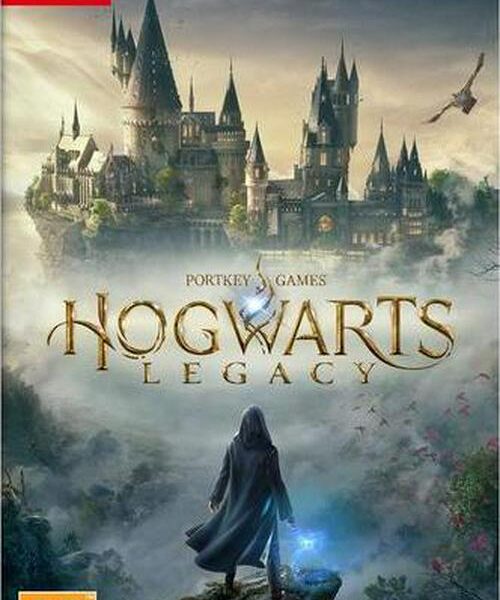 NINTENDO SWITCH Hogw d3a937eb04042576ac35dcea3f7f7557